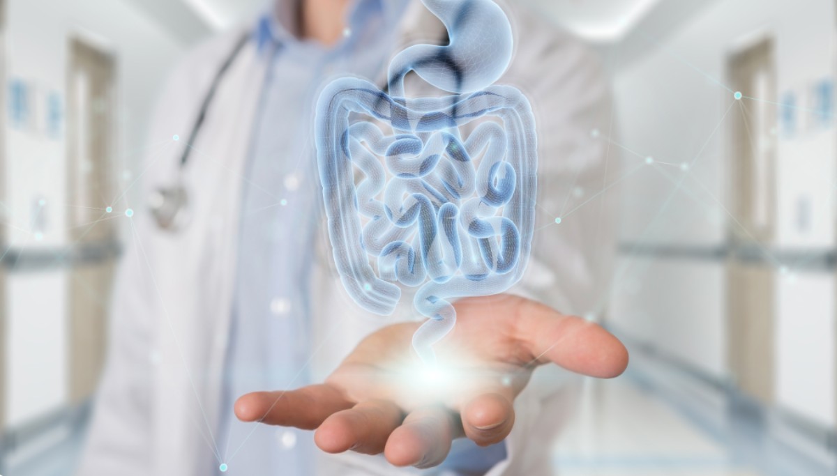 Neurology Services
